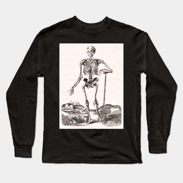 Skeleton Antique Anatomy Long Sleeve T-Shirt by AntiqueImages